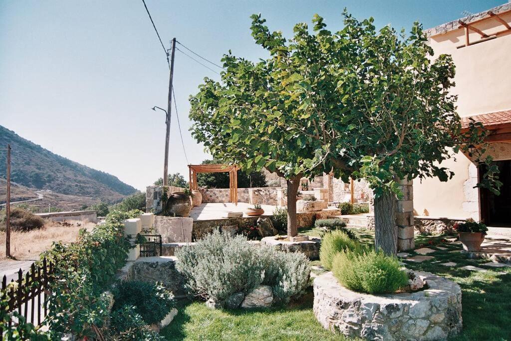 Traditional Villa With Pool In Sfakia Imbros Bagian luar foto